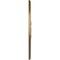 Ekena Millwork Milton Ceiling Medallion (Fits Canopies up to 7 7/8"), Hand-Painted Pale Gold, 40 5/8"OD x 1 3/4"P CM40MIPAS - alternate 4